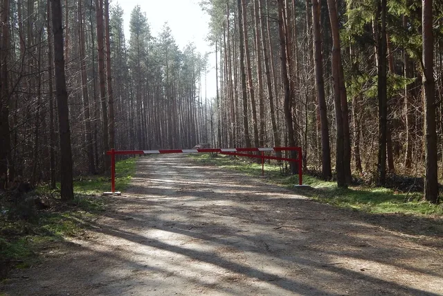 dítě