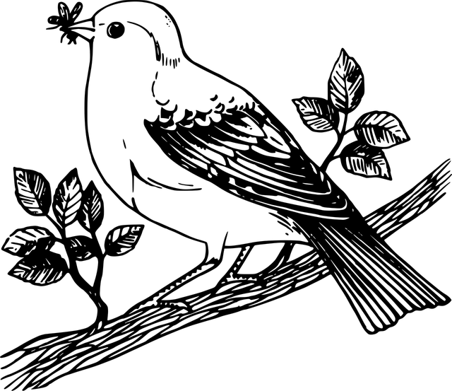 krmítko